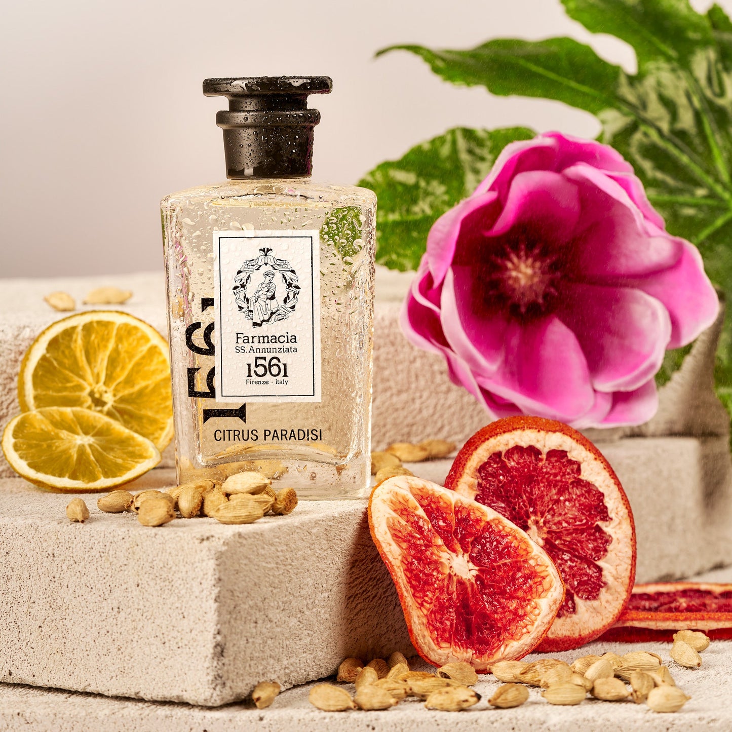 Profumo Citrus Paradisi - Eau de Parfum - 100ml