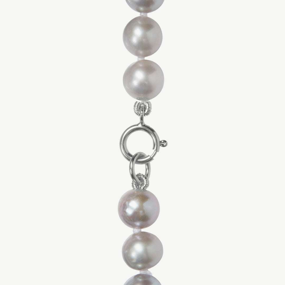 Pearl necklace with a silver clasp on a white background