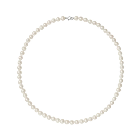 Pearl necklace on a white background