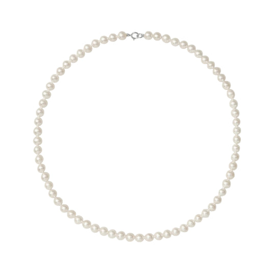Pearl necklace on a white background