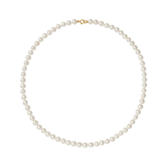 Pearl necklace on a white background