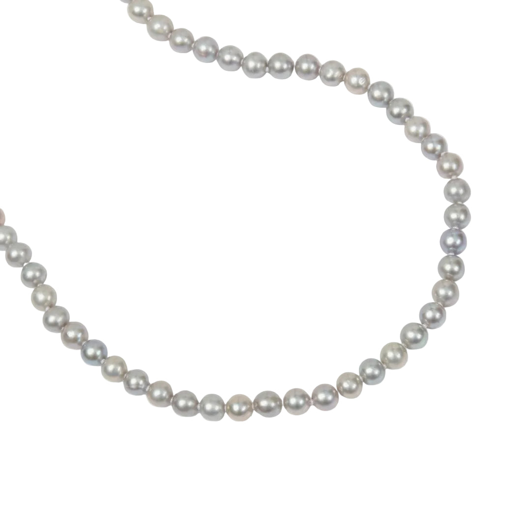 Pearl necklace on a white background