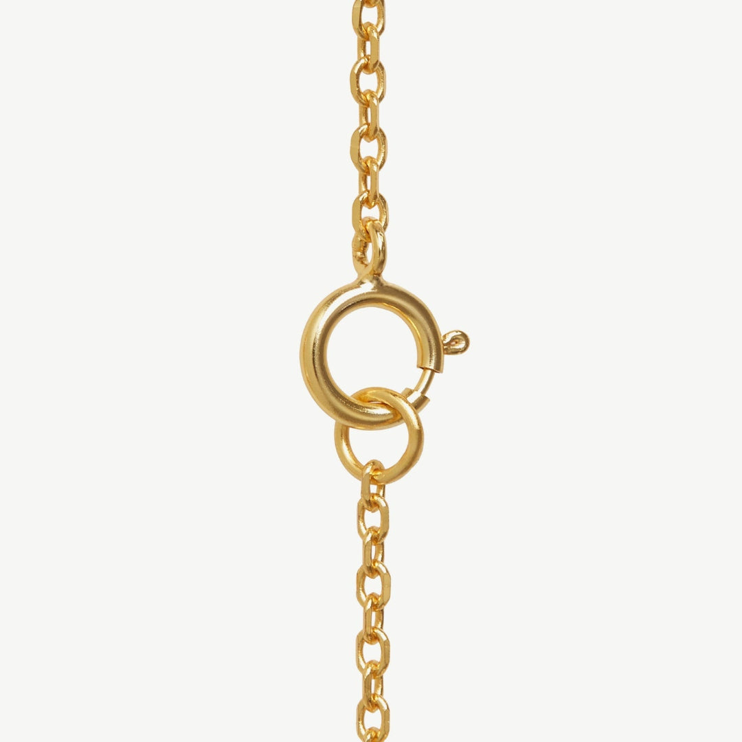 Gold chain with a clasp on a white background
