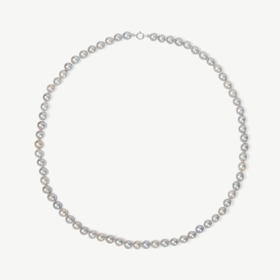 Pearl necklace on a white background