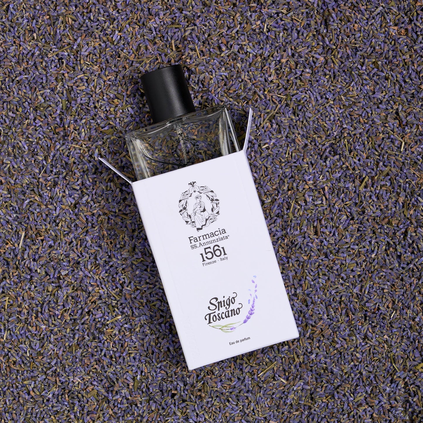 Profumo Spigo Toscano - Eau de Parfum - 100ml